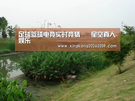 案例展示四(图1)