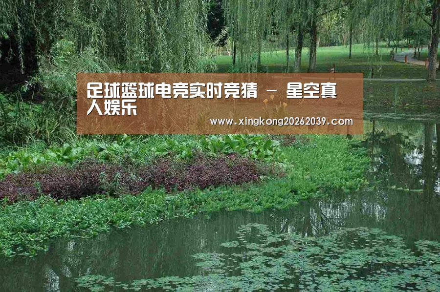 案例展示一(图1)