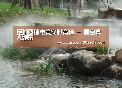 案例展示五(图1)
