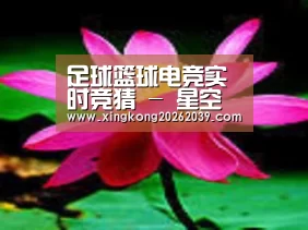 产品名称五