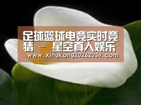 产品名称七