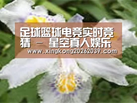 产品名称二