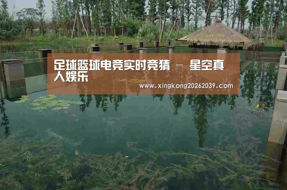 案例展示二