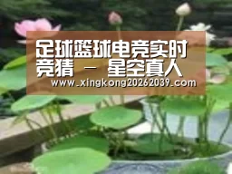 产品名称一