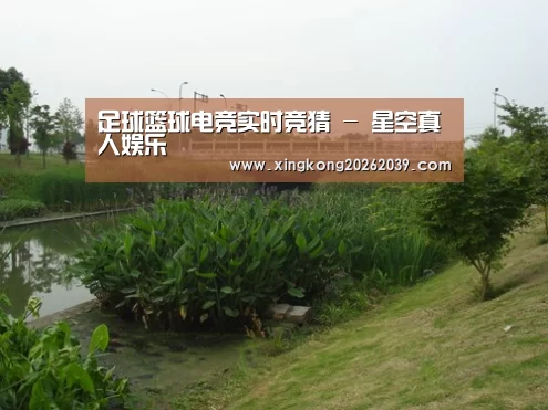 案例展示四