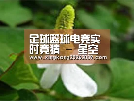 产品名称三