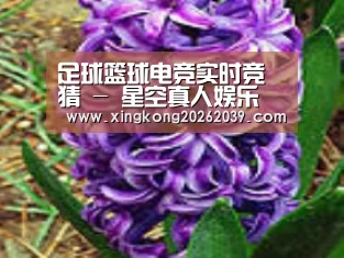 产品名称八
