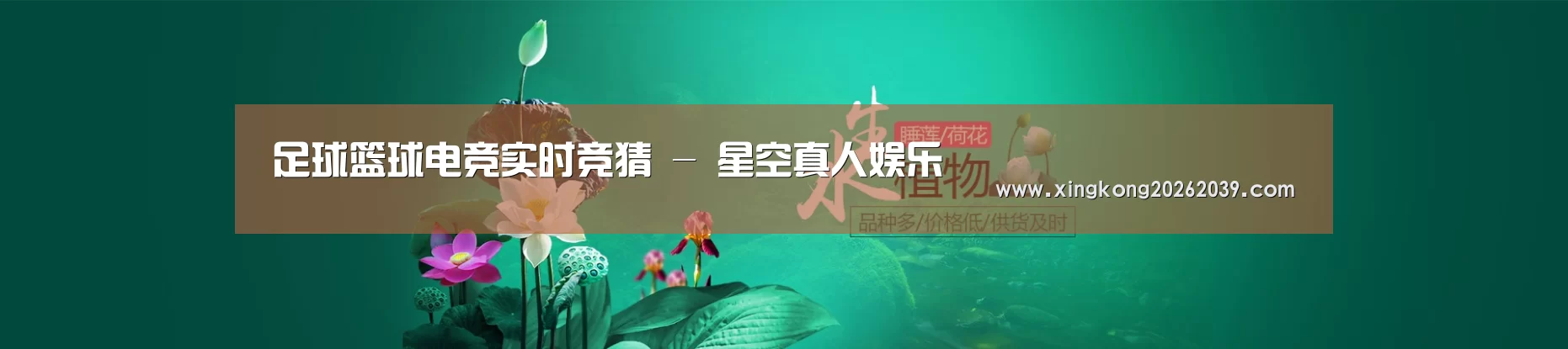 鲜花水草花卉网站模板