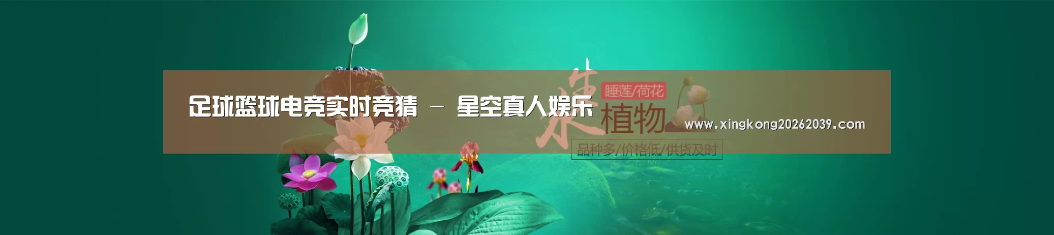 鲜花水草花卉网站模板
