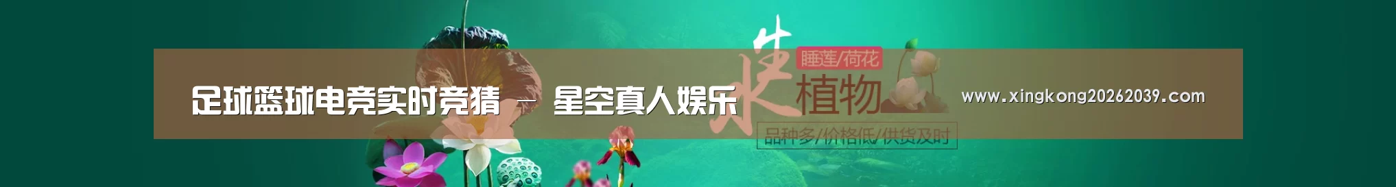 鲜花水草花卉网站模板